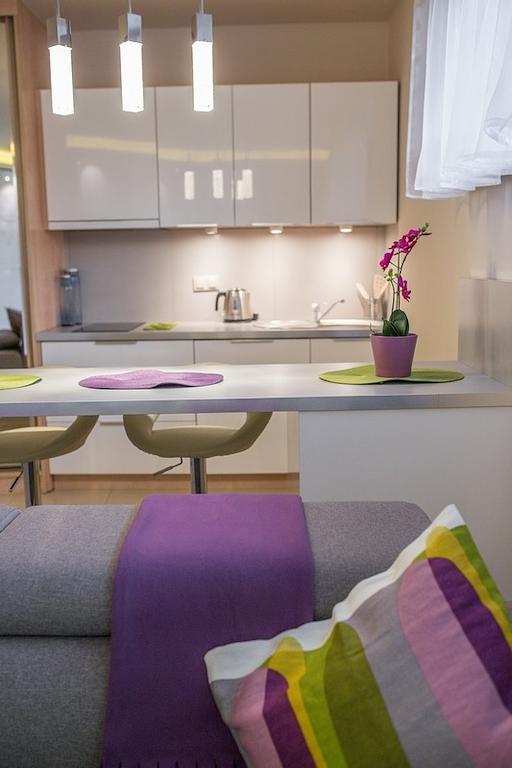 Oliwkowy, Apartament Widokowy Z Duzym Tarasem ザコパネ 部屋 写真
