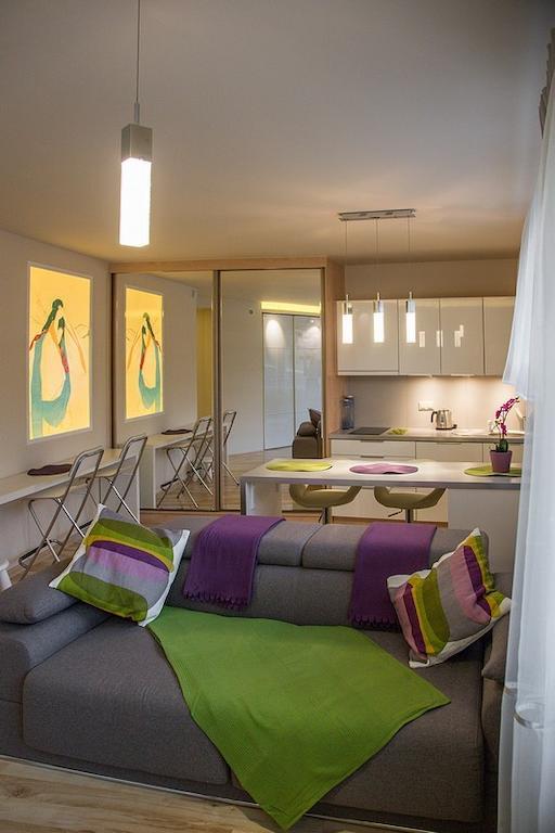 Oliwkowy, Apartament Widokowy Z Duzym Tarasem ザコパネ エクステリア 写真